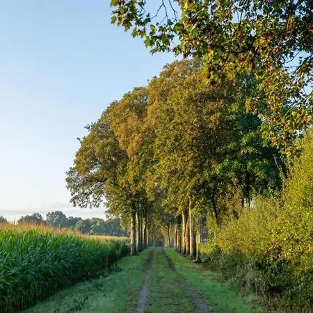 Beautiful Holiday Home In Limburg Holiday home Maasbree