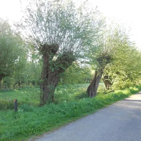 Beautiful Holiday Home In Limburg Holiday home Maasbree
