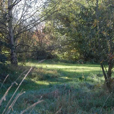 Beautiful Holiday Home In Limburg * Maasbree