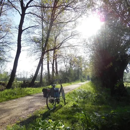 Beautiful Holiday Home In Limburg * Maasbree